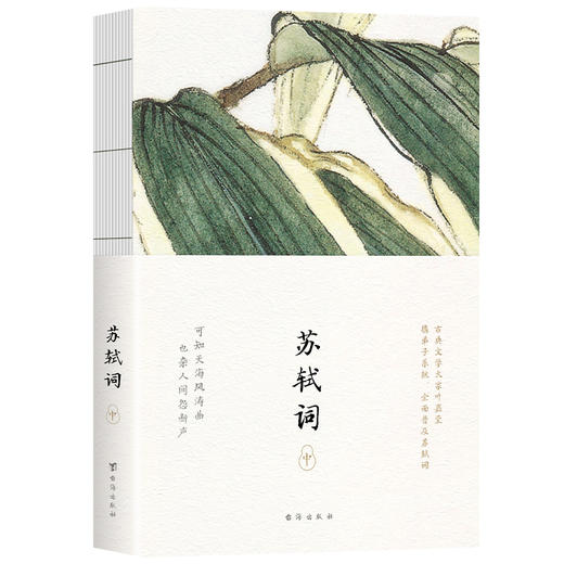 一蓑烟雨任平生：苏轼词（全三册） 商品图6