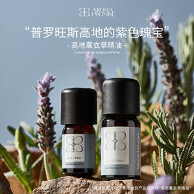 高地薰衣草精油 “梦境的守护者