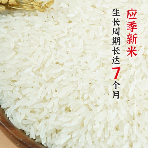 【陇间柒月】六月富硒大米 5kg 商品图6