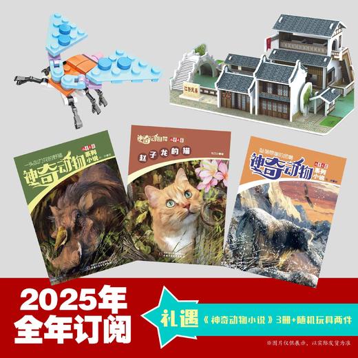 【超妈专属】儿童文学，儿童版+少年版杂志经典26年起订 1年共12期 少年双本套中小学生课外阅读中国 商品图2