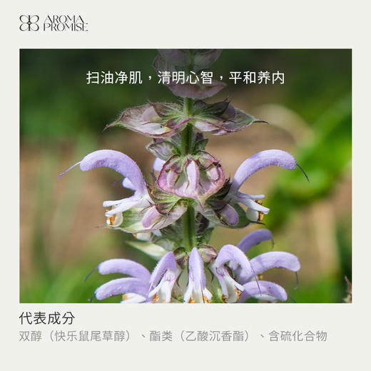 快乐鼠尾草10ml清新干燥香甜的青草味 养护神经系统 安宁平静 商品图1