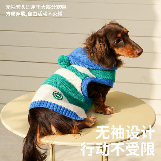 zeze条纹宠物连帽针织衫-B 商品图2