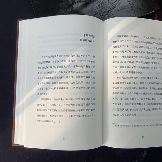 爱与烦恼 电影《好东西》同款 外国文学小说书籍 后浪正版 商品图2