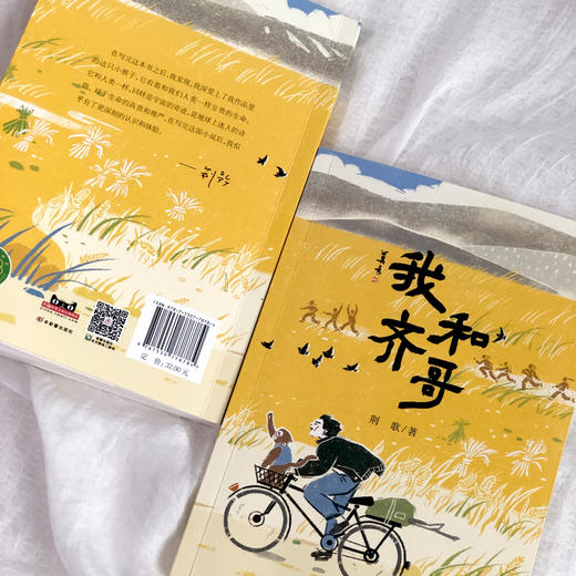 我和齐哥 商品图3