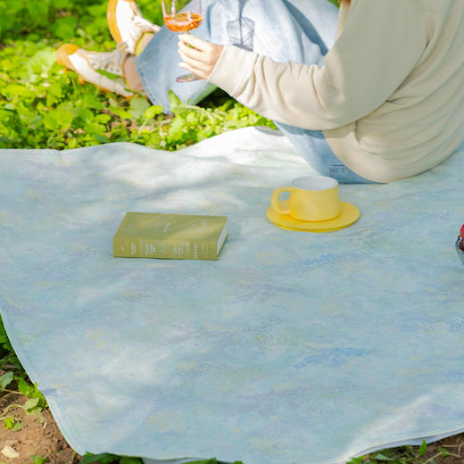 春意系列野餐垫防潮垫便携加厚草地春游草坪轻便秋游高级感棉 商品图2