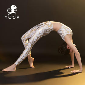 【现货秒发】壁虎瑜伽【2411TZ099】美背亲肤两件套（可拆卸胸垫）