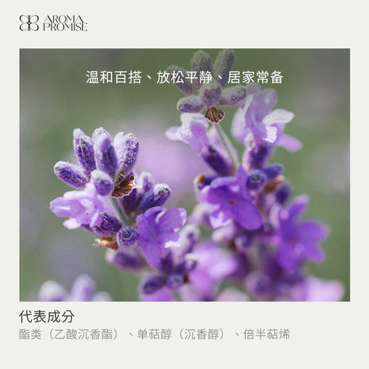 高地薰衣草精油 “梦境的守护者 商品图1