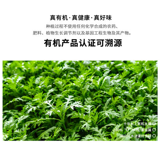 暖壹有机茼蒿 商品图0