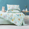 富安娜家纺床上四件套纯棉 100%全棉床单 双人加大床品 被套230*229cm /床上用品 /三件套/四件套/多件套 /四件套 商品缩略图3