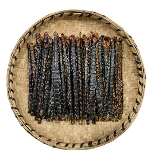 蜈蚣 不带竹签整条 16-17公分长 商品图4