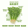 暖壹有机芹菜 商品缩略图0