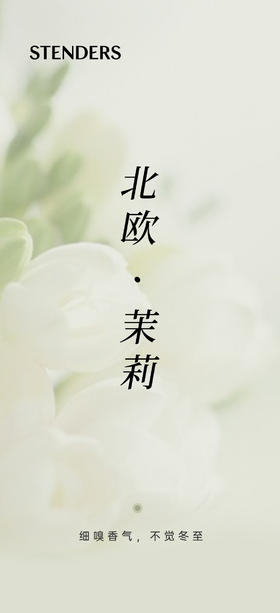 施丹兰丨北欧茉莉