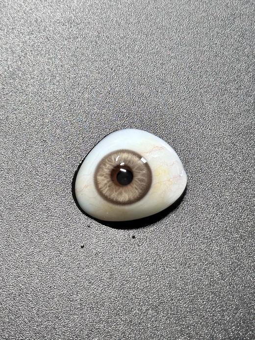 Annieone月抛-暮光棕 商品图12