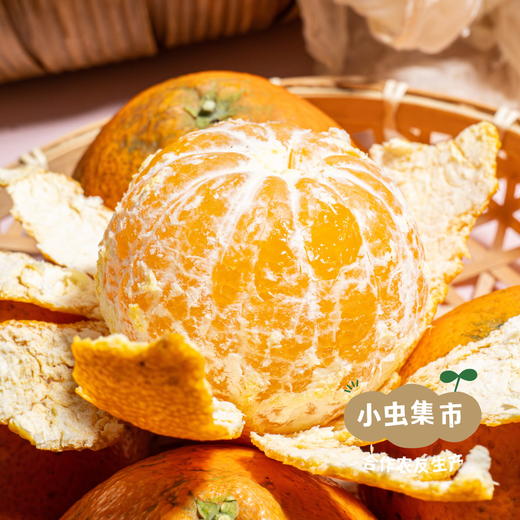 眉山生态爱媛果冻橙 5斤/8.5斤 | 合作农友生产，产自四川眉山，生产者：胡连均 *【公平贸易农人定价】 商品图5