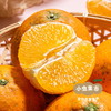 眉山生态爱媛果冻橙 5斤/8.5斤 | 合作农友生产，产自四川眉山，生产者：胡连均 *【公平贸易农人定价】 商品缩略图2