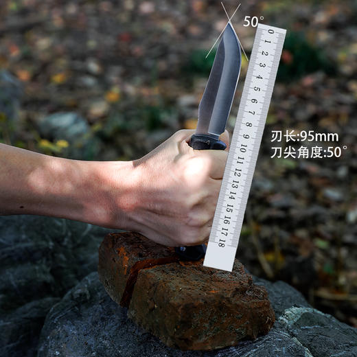 SOG索格 FK1001战术户外小直刀野外探险生存刀 商品图4