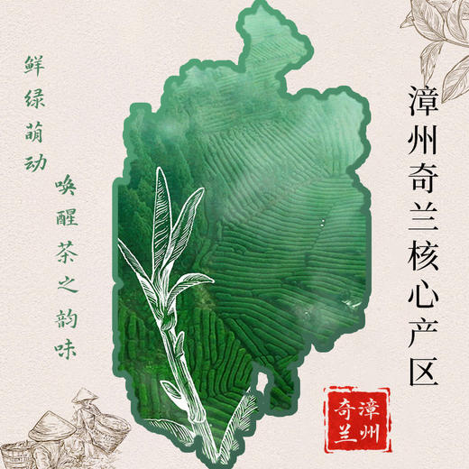 佐禧佑福 奇兰乌龙茶76.5克（8.5克x9泡）茶叶 商品图5