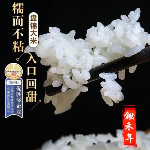 699存储一年水稻2024新米“红海滩1号”盘锦蟹田米每月现磨新米现发货10斤全年12次发货120斤月月吃新米<我家有块儿田  欢乐锄禾年>（锄禾农庄地主发起计划） 商品图1
