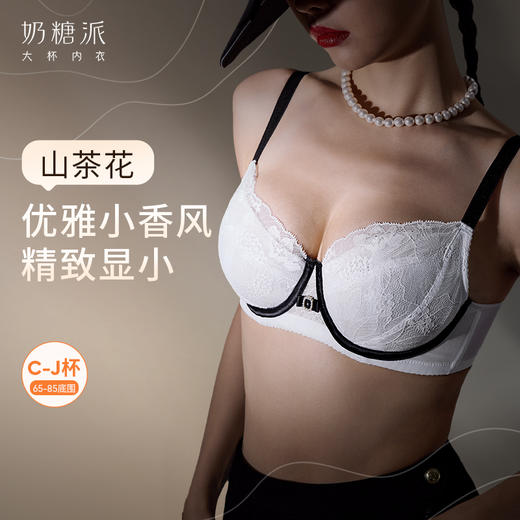 【积分兑换】奶糖派大胸显小内衣女山茶花小香风超薄蕾丝文胸防下垂大码胸罩 商品图0