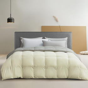 【分仓直发包邮】水星家纺半见初雪抗菌防螨复合鹅绒被129249