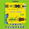 【换社新书】虫子在排什么队？——精装3岁以上 昆虫形态认知 自然生命 大村知子 幼儿园读物 睡前故事 蒲蒲兰绘本馆 商品缩略图0