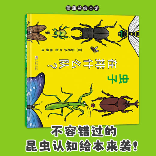 【换社新书】虫子在排什么队？——精装3岁以上 昆虫形态认知 自然生命 大村知子 幼儿园读物 睡前故事 蒲蒲兰绘本馆 商品图0