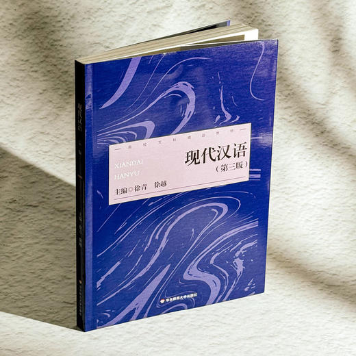 现代汉语 第三版 徐菁 徐越 现代汉语专业基础课教材 基本理论 商品图4
