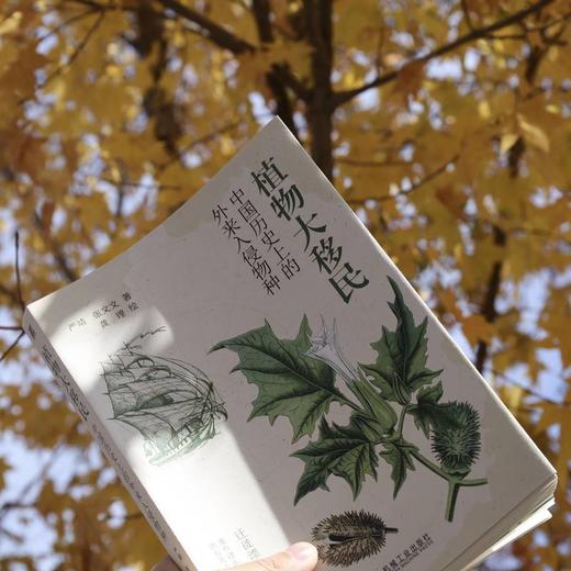 植物大移民:中国历史上的外来入侵物种 商品图4