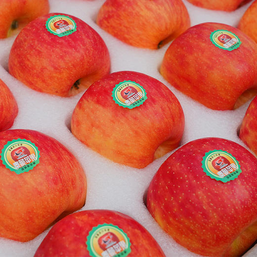 【秦脆苹果】顶端果业陕西洛川秦脆苹果20枚85mm大果礼盒 新鲜水果手提装 商品图4