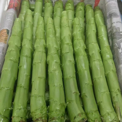 四川三青贡笋，味道鲜美，清香爽口，自带一丝丝甜味，真正的好品种，好产地，远离城市污染！跟北京这边的青笋完全不一样哦！去皮真空包装，2-2.5斤，2根 商品图4