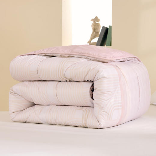 【分仓直发包邮】水星家纺沃享新生抗菌澳毛被128122 商品图2