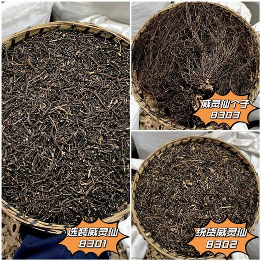 威灵仙  常用规格 北威灵仙 商品图0