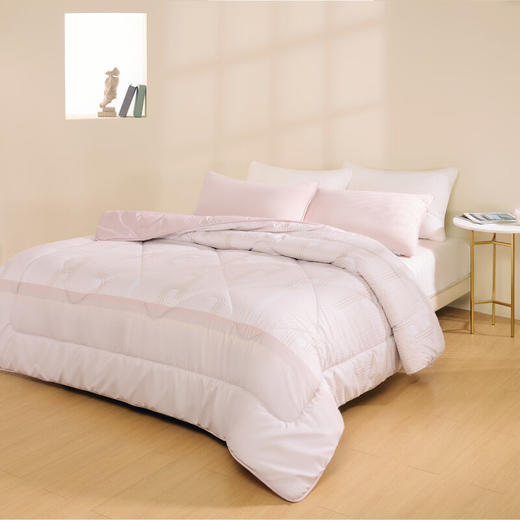 【分仓直发包邮】水星家纺沃享新生抗菌澳毛被128122 商品图1