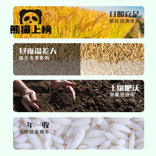 河龙贡米佳宴｜颗粒饱满优质 古法种植 晶莹饱满 清香自然 商品图2