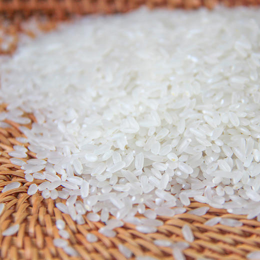 兔子米农长粒香米5㎏ 商品图1