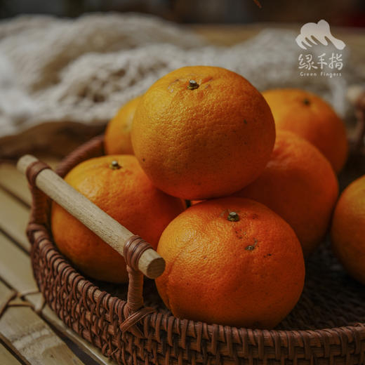 生态芦柑（极兔快递）| 合作生产*Ecological orange | Partner Production 商品图1