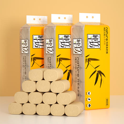 【自营】蓝漂纯竹工坊竹浆本色无芯卷纸 4层加厚960g/提卫生纸家用厕纸CZGF-0194 商品图11