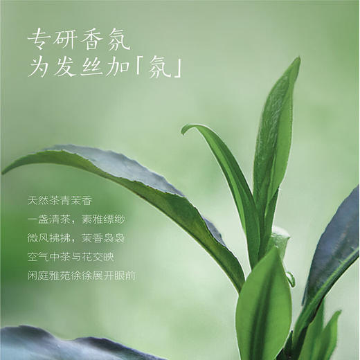 半亩花田  控油蓬松香氛洗发水400ml   BMHT-739 商品图4