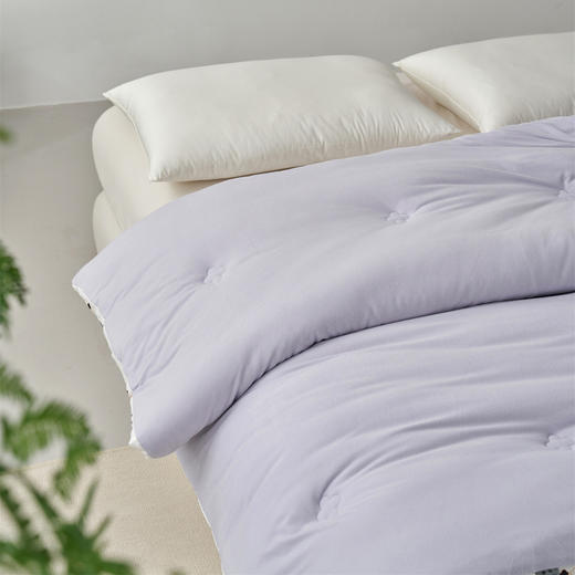 【三种厚度自由选择】超软糯A类德绒大豆被子 静音亲肤抗菌春秋被加厚冬被儿童被双人棉被 商品图4