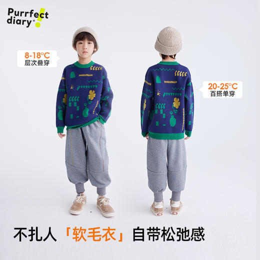 儿童抽象花草系列毛衣 PDMY2436 商品图1