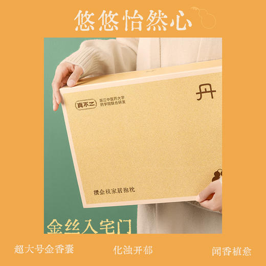 【真不二】攒金枝家居抱枕腰靠居家车载办公大号香囊枕 商品图1