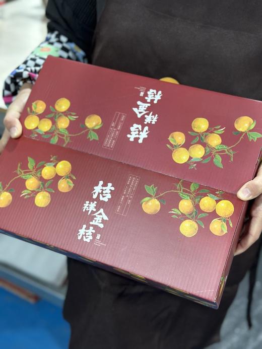 广西融安  脆蜜金柑 商品图1