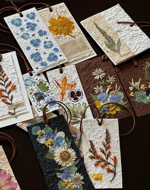 【智行研学】12.1明州书城公益自然课堂 商品图6