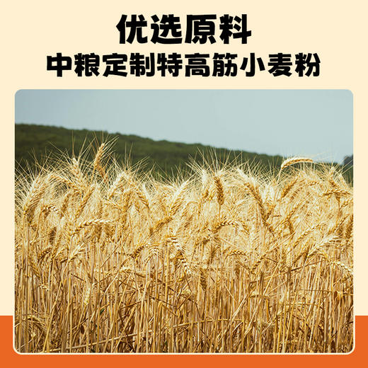 莱茵启康莱茵衣藻高硒营养面方便面非油炸Q弹爽口微藻益生元 商品图5