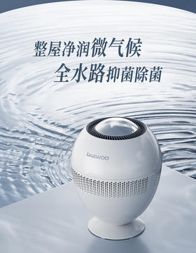 大宇小巨蛋加湿器PH05