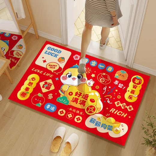 【新年入户地垫】2025年新款蛇年春节入户门脚垫过年家用客厅地毯垫子。ry 商品图7