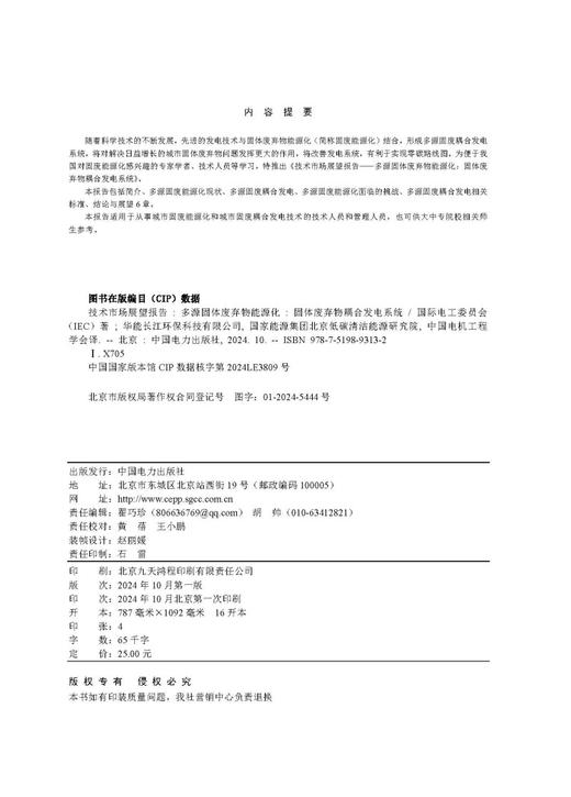 技术市场展望报告——多源固体废弃物能源化：固体废弃物耦合发电系统 商品图3