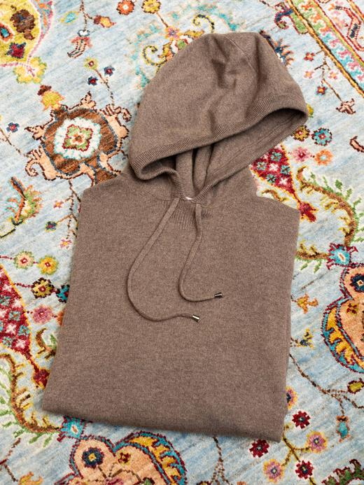 Dalmo 棕色羊绒帽衫 商品图0