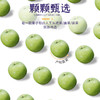大宴煌潮青梅紫苏无核梅饼120g/盒 酸甜适中 果香清新 柔软细腻 商品缩略图4