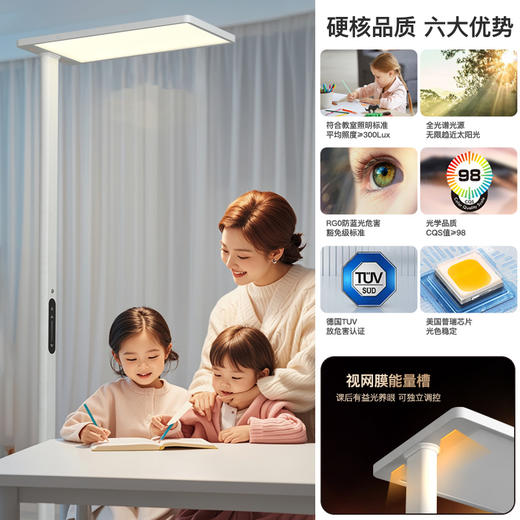 华尔登全光谱阳光落地灯护眼大路灯 商品图4